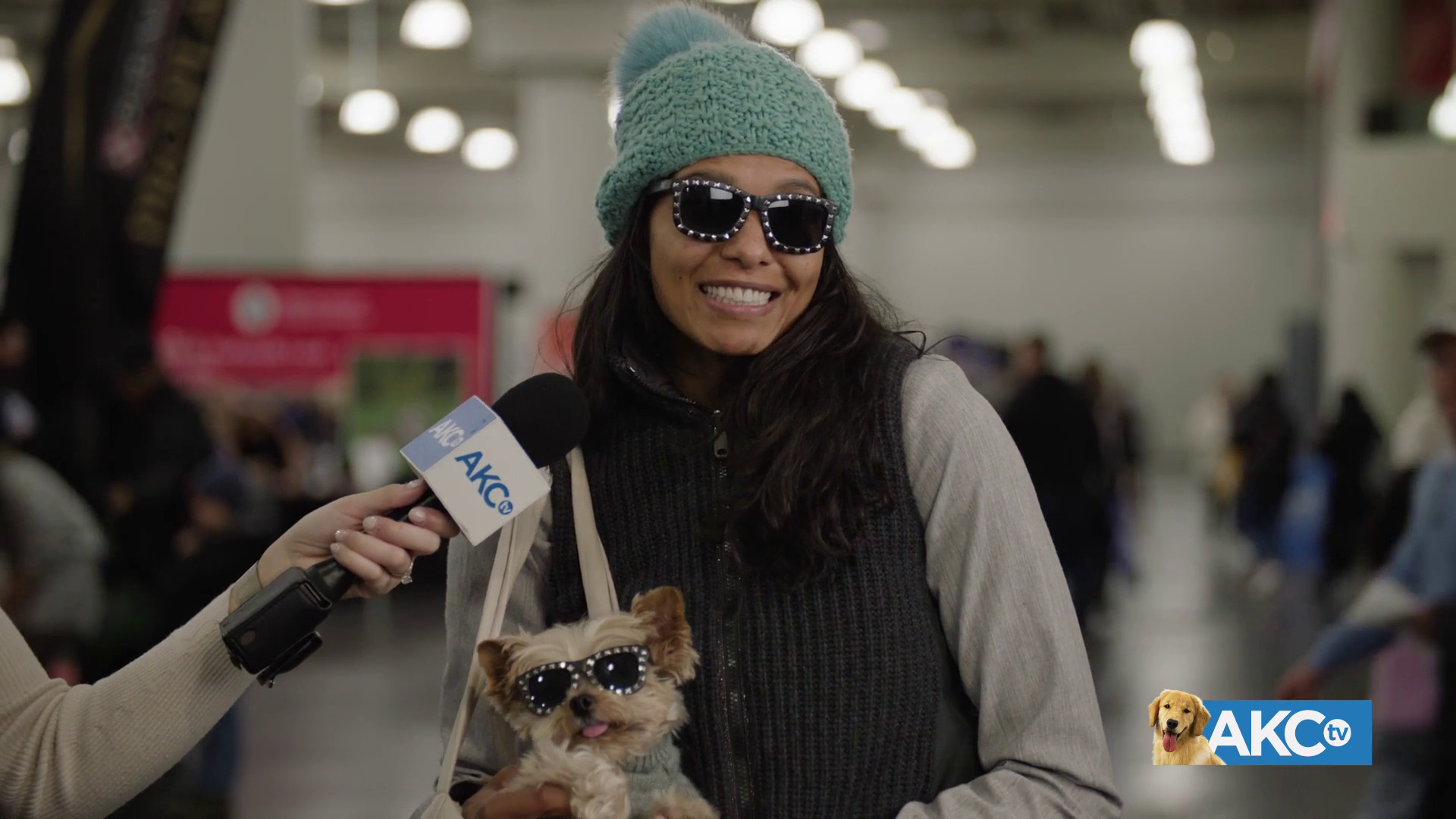 Dog Lovers at AKC Meet the Breeds AKC.tv